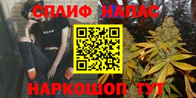 амф Гусь-Хрустальный