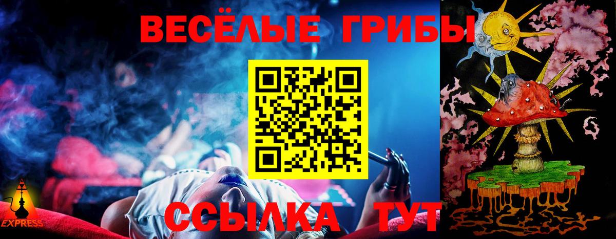 Галлюциногенные грибы Psilocybine cubensis Новосибирск
